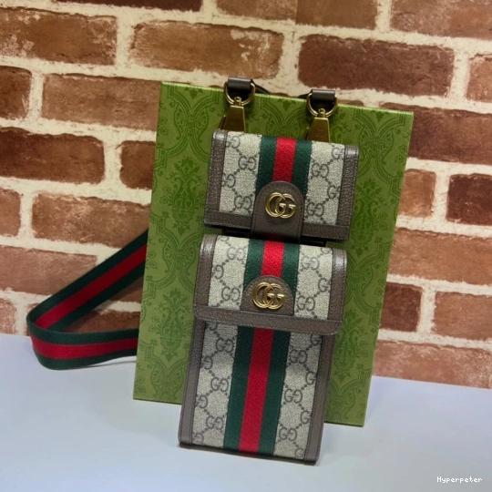 Hyperpeter detachable GUCCI GG wallet Ophidia and bag mini 0810